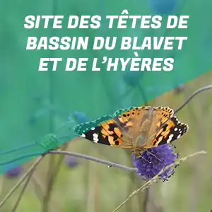 Le site du Blavet